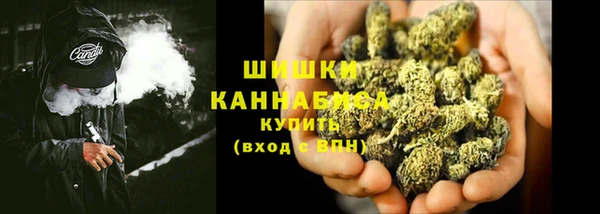 гидра Гусиноозёрск