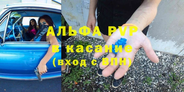 дживик Гусев