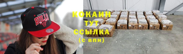 дживик Гусев
