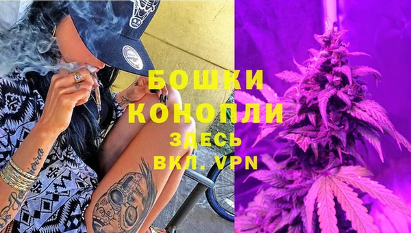 дживик Гусев